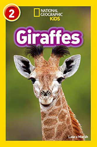 NAT GEO READER - GIRAFFES