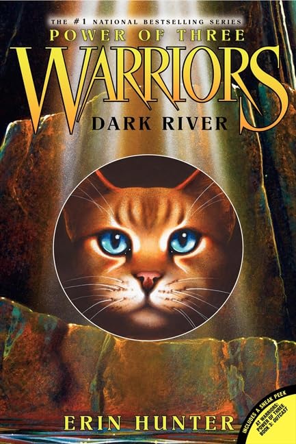 Dark River (Warriors: Power of Three #2)