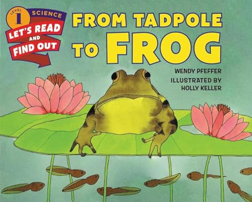 From Tadpole to Frog (Let