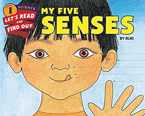 My Five Senses (Let