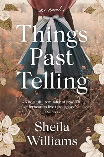 Things Past Telling: A Novel