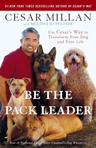 Be the Pack Leader: Use Cesar