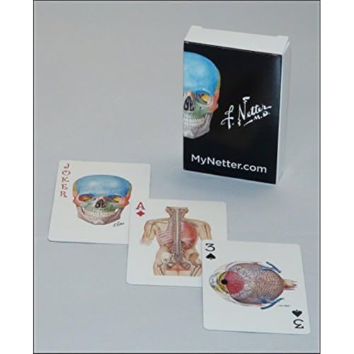 Netter Playing Cards: Netter