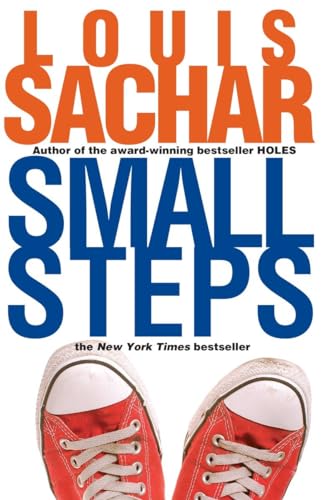 Small Steps (Holes Series)