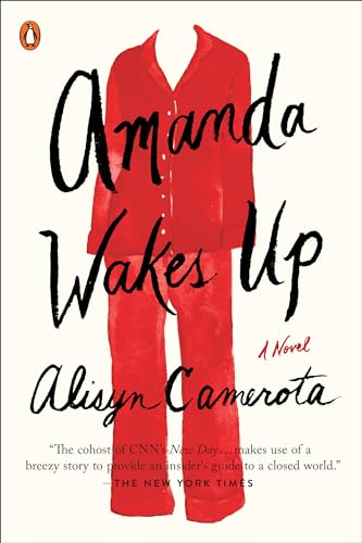 Amanda Wakes Up: A Novel