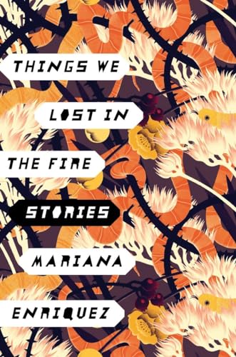 Things We Lost in the Fire: Stories