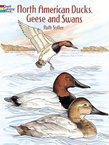 North American Ducks, Geese and Swans Coloring Book (Dover Animal Coloring Books)