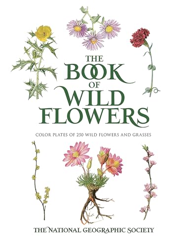 The Book of Wild Flowers: Color Plates of 250 Wild Flowers and Grasses