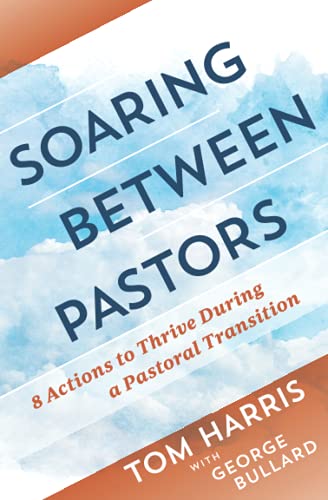 Soaring Between Pastors: 8 Actions to Thrive During a Pastoral Transition