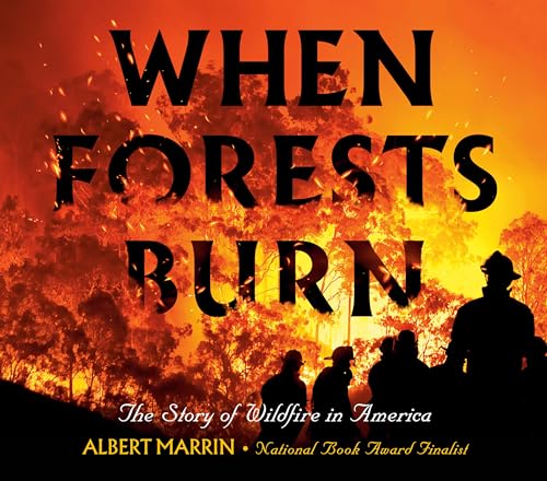 When Forests Burn: The Story of Wildfire in America