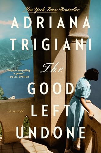 The Good Left Undone: A Novel