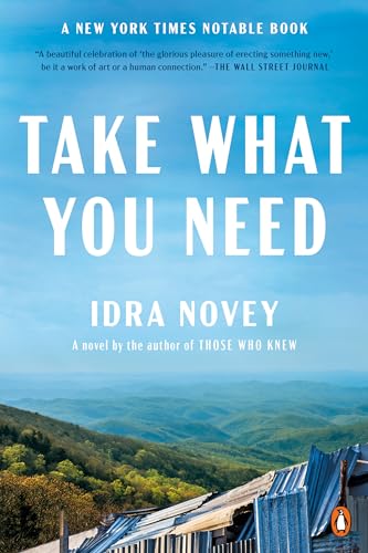 Take What You Need: A Novel