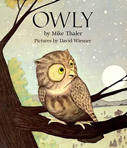 Owly