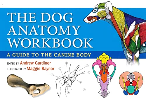 The Dog Anatomy Workbook: A Learning Aid for Students