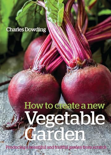 How to Create a New Vegetable Garden: Producing a beautiful and fruitful garden from scratch