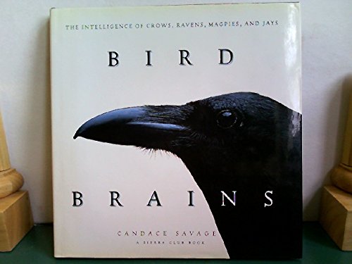 Bird Brains: The Intelligence of Crows, Ravens, Magpies, and Jays