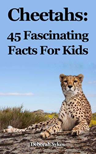 Cheetahs: 45 Fascinating Facts For Kids