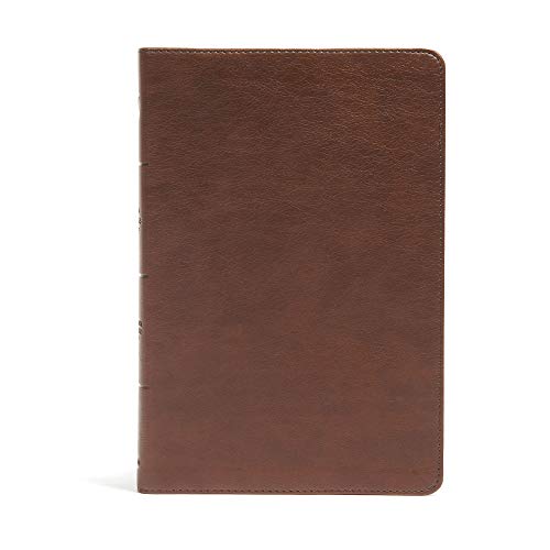 CSB Seven Arrows Bible, Brown LeatherTouch, Red Letter, Presentation Page, Study Helps, Application, Reading Plan, Full-Color Maps, Easy-to-Read Bible Serif Type