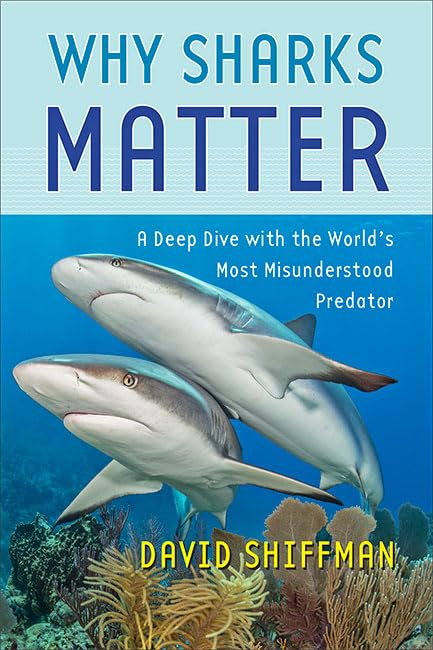 Why Sharks Matter: A Deep Dive with the World