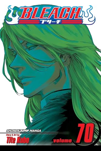 Bleach, Vol. 70 (70)