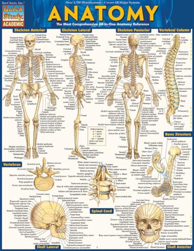 Anatomy - Reference Guide (8.5 x 11): a QuickStudy reference tool (Quickstudy Academic)