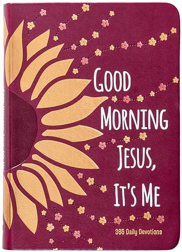 Good Morning Jesus It’s Me: 365 Daily Devotions