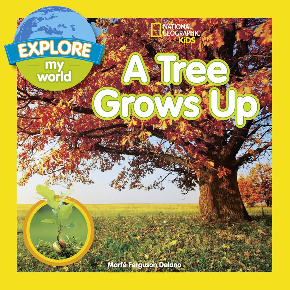 Explore My World A Tree Grows Up