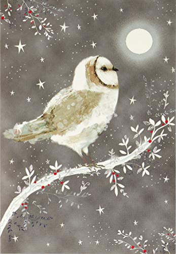 Starry Night Owl Small Boxed Holiday Cards (Christmas Cards, Greeting Cards)