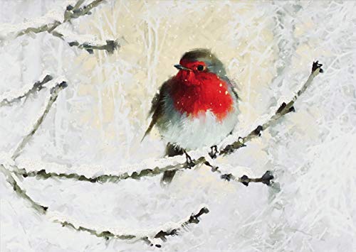 English Robin in Winter Deluxe Boxed Holiday Cards (Christmas Cards, Greeting Cards)