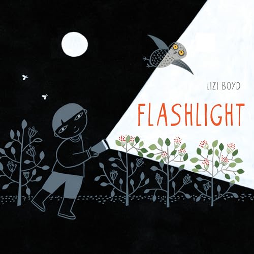 Flashlight: (Picture Books, Wordless Books for Kids, Camping Books for Kids, Bedtime Story Books, Children