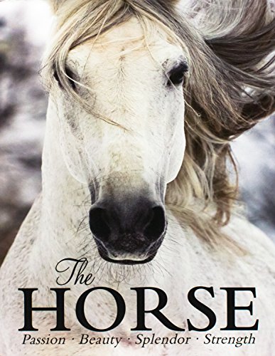 The Horse: Passion, Beauty, Splendor, Strength