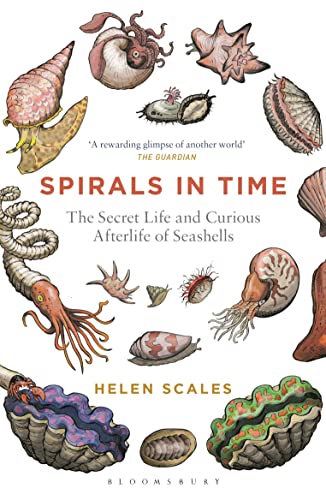 Spirals in Time: The Secret Life and Curious Afterlife of Seashells