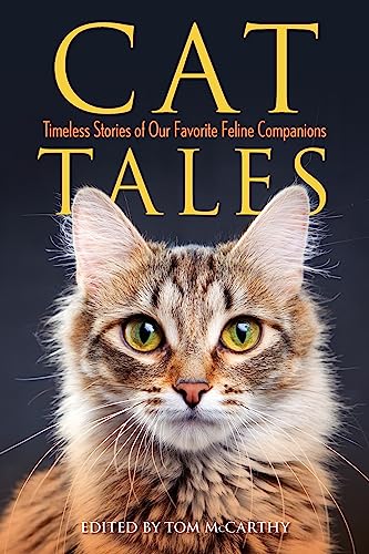 Cat Tales (Jumbo Story Collections)