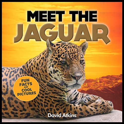 Meet The Jaguar: Fun Facts & Cool Pictures (Meet The Cats)