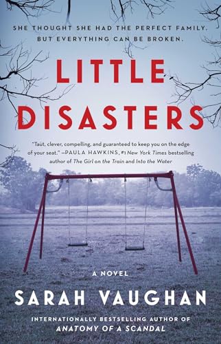 Little Disasters: A Novel