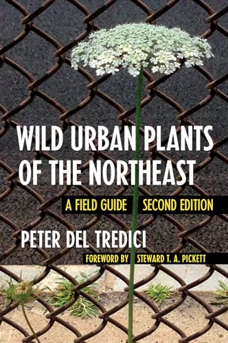 Wild Urban Plants of the Northeast: A Field Guide