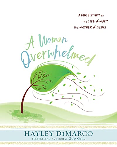 Woman Overwhelmed Participant Workbook (A Woman Overwhelmed)