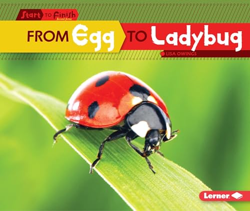 From Egg to Ladybug (Start to Finish, Second Series)