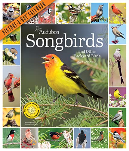 Audubon Songbirds and Other Backyard Birds Picture-A-Day Wall Calendar 2024: A Beautiful Bird Filled Way to Keep Track of 2024