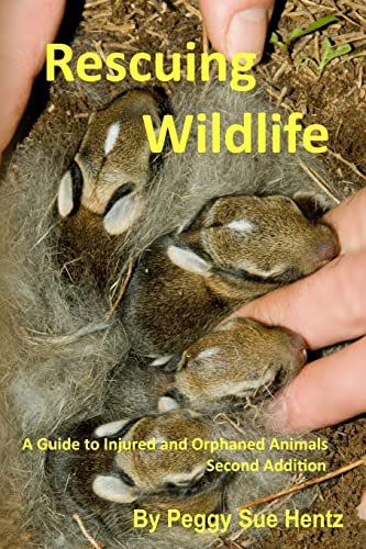 Rescueing Wildlife: A Guide to Helping Injured & Orphaned Animals