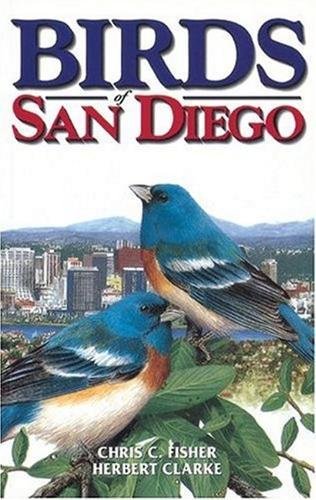 Birds of San Diego