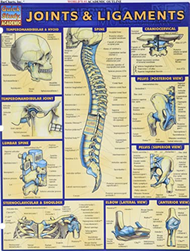 Joints & Ligaments (Quick Study Academic)