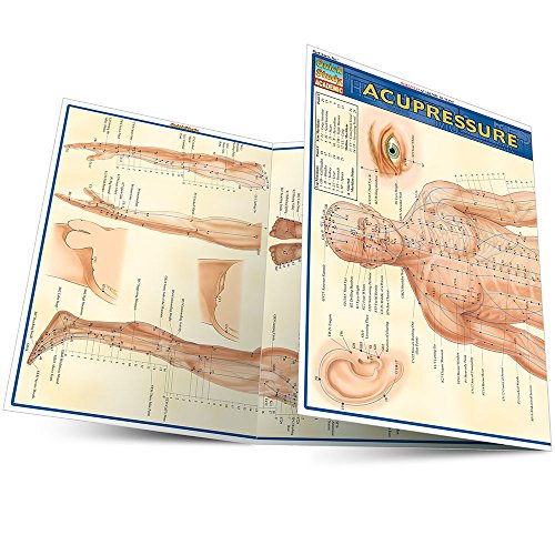 Acupressure (Quick Study Academic Outline)