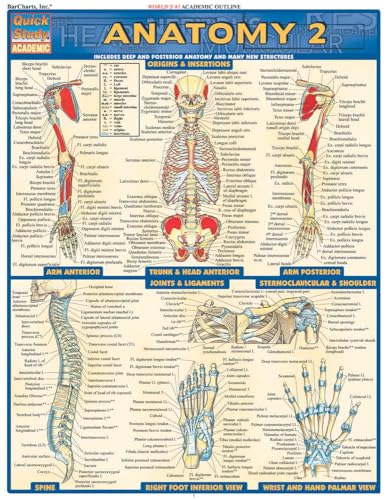 Anatomy 2 - Reference Guide (8.5 x 11): a QuickStudy Laminated Reference Guide (Quick Study Academic)