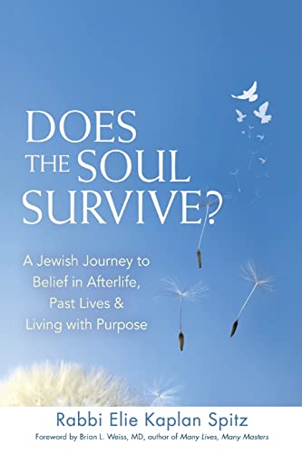 Does the Soul Survive? (2nd Edition): A Jewish Journey to Belief in Afterlife, Past Lives & Living with Purpose