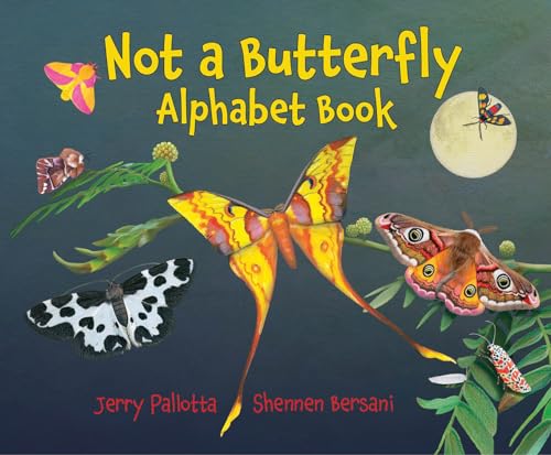 Not a Butterfly Alphabet Book: It