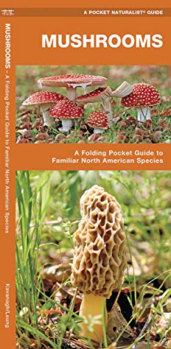 Mushrooms: A Folding Pocket Guide to Familiar North American Species (Wildlife and Nature Identification)