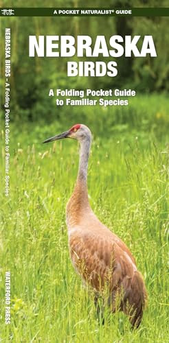 Nebraska Birds: A Folding Pocket Guide to Familiar Species (Nature Observation North America)