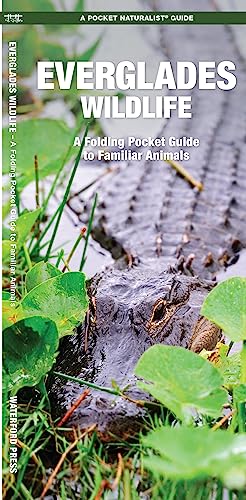 Everglades Wildlife: A Folding Pocket Guide to Familiar Animals (Nature Observation North America)