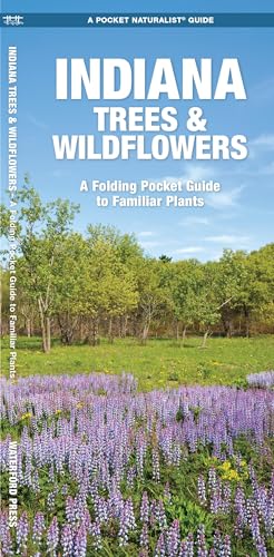 Indiana Trees & Wildflowers: A Folding Pocket Guide to Familiar Plants (Nature Observation North America)